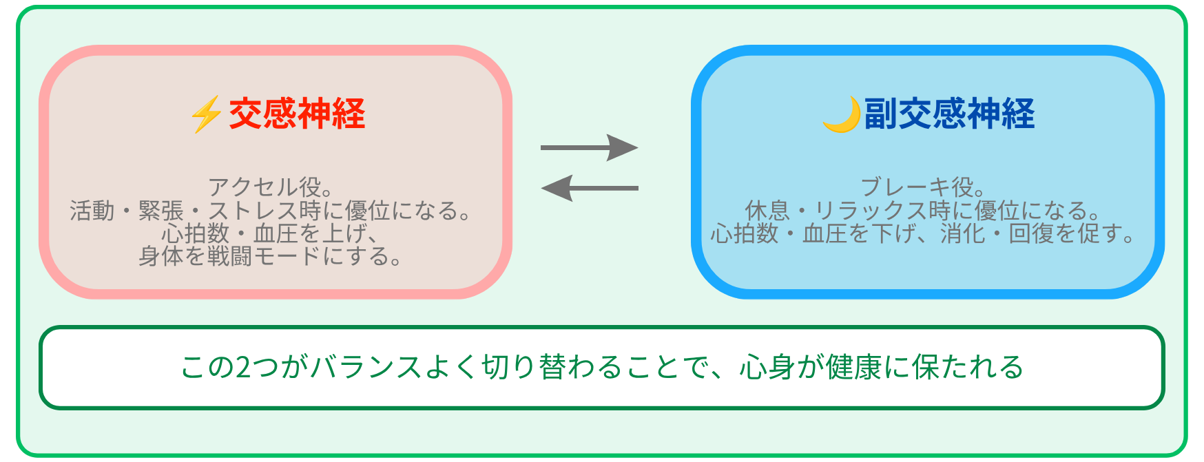 自律神経とは